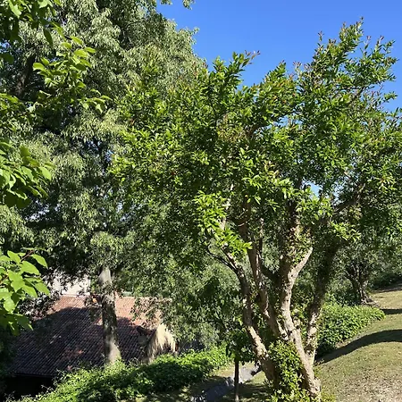 度假居 Sunflower